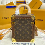 Louis Vuitton Camera Box M10079 Brown